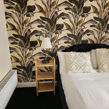 Homely One Bed Apartment On Main Road With Easy Access To City Or Peak District Heeley Exterior photo